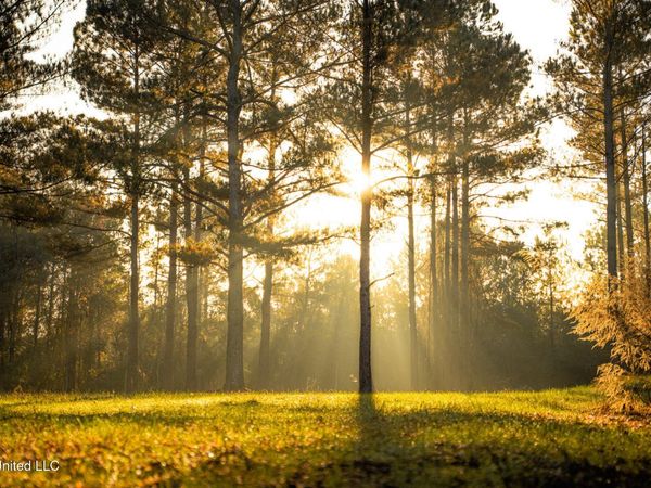 Newton Caney Creek Road, Decatur, MS 39327