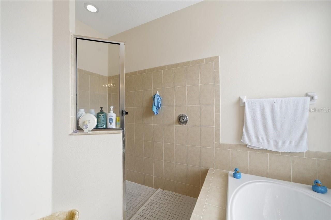 18425 Cypress Bay Parkway, Land O Lakes, FL 34638 Photo
