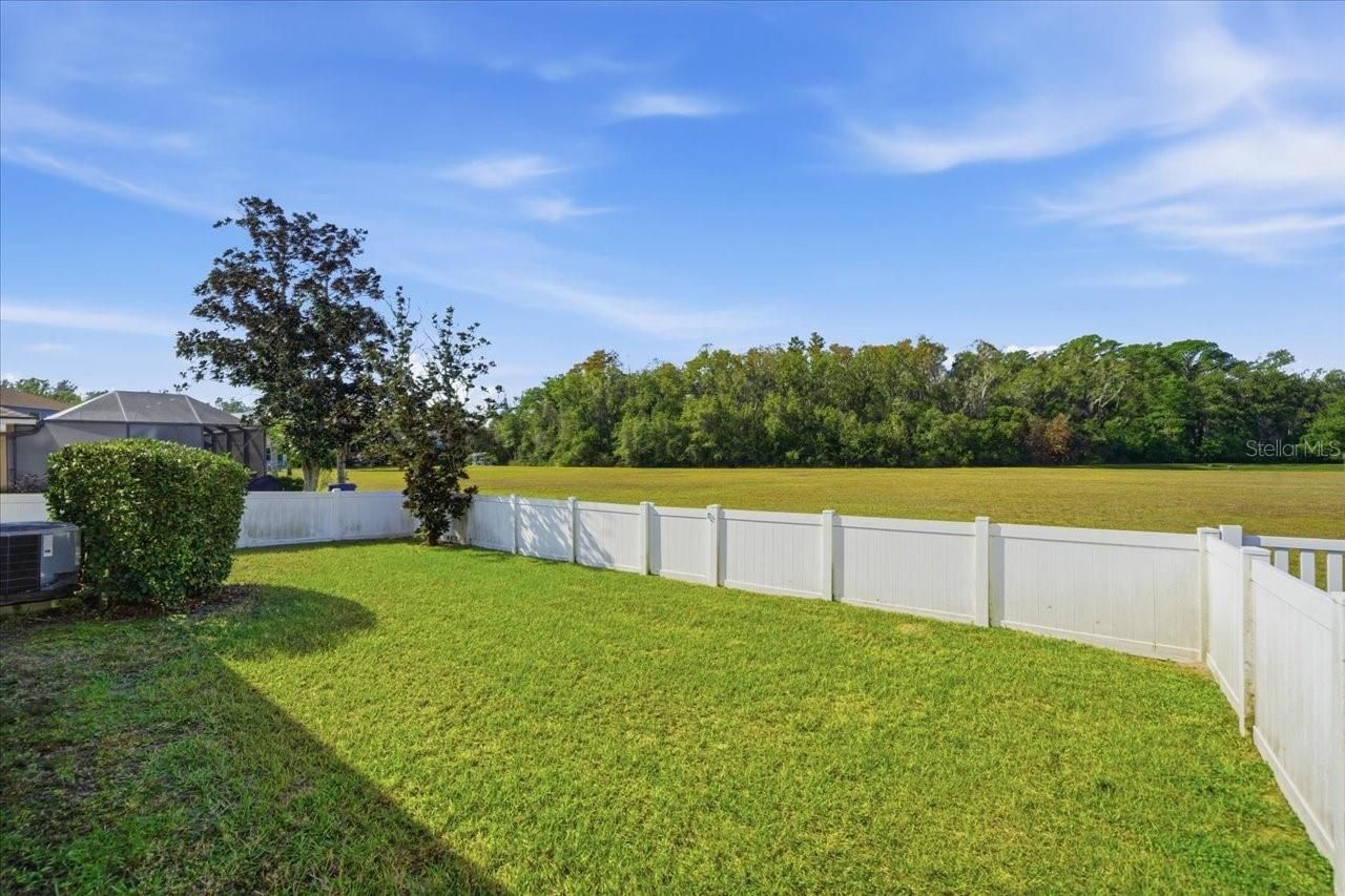 18425 Cypress Bay Parkway, Land O Lakes, FL 34638 Photo