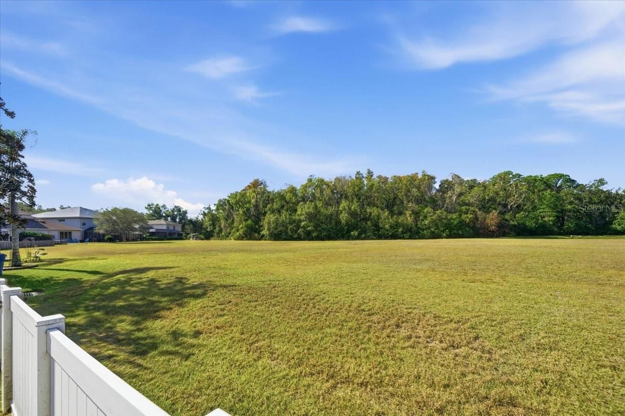 18425 Cypress Bay Parkway, Land O Lakes, FL 34638 Photo