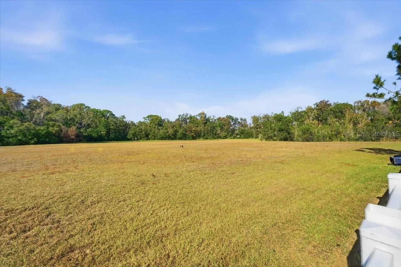 18425 Cypress Bay Parkway, Land O Lakes, FL 34638 Photo