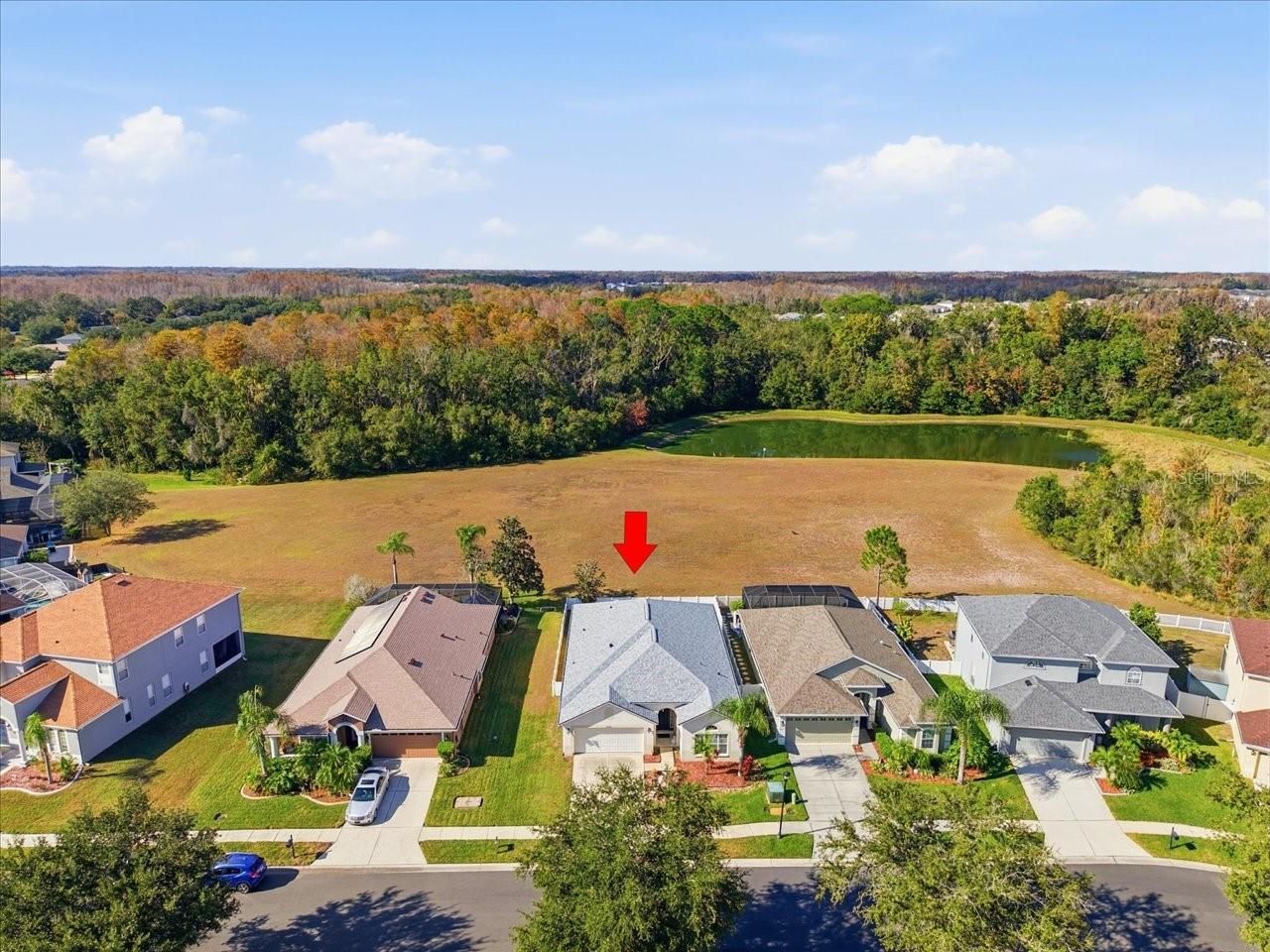 18425 Cypress Bay Parkway, Land O Lakes, FL 34638 Photo