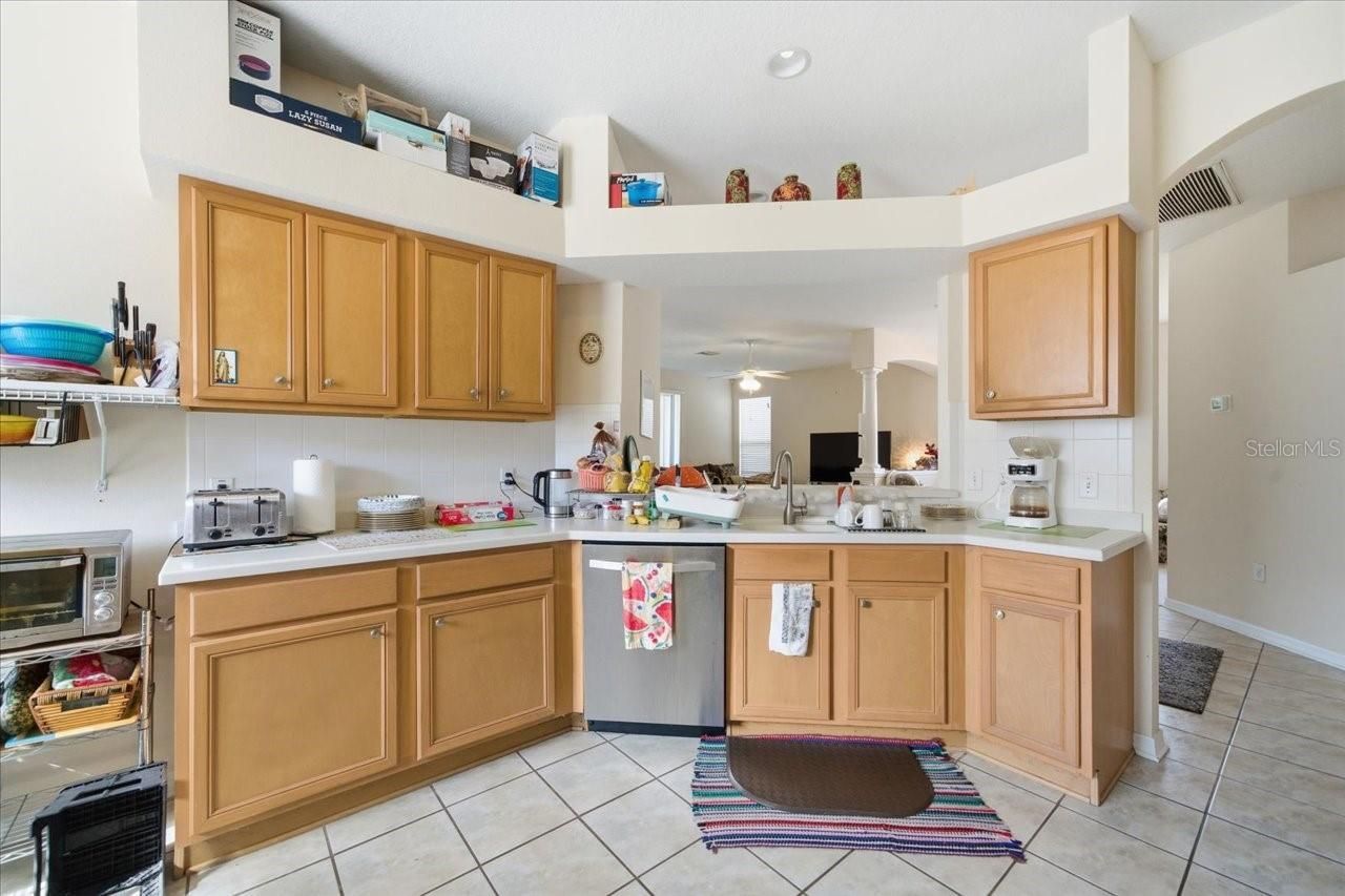 18425 Cypress Bay Parkway, Land O Lakes, FL 34638 Photo
