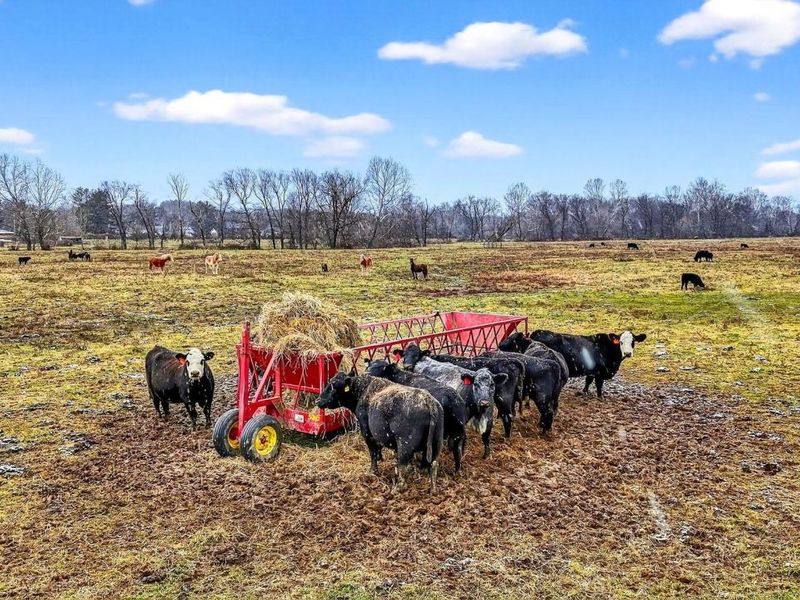 0 State Route 160, Hamden, OH 45634 Photo 2