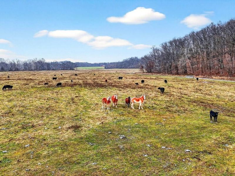 0 State Route 160, Hamden, OH 45634 Photo 6