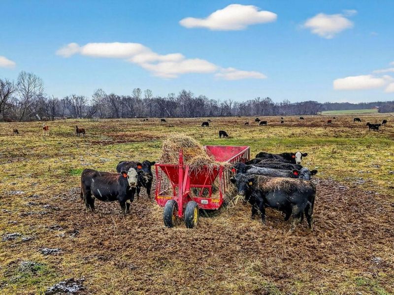 0 State Route 160, Hamden, OH 45634 Photo 8