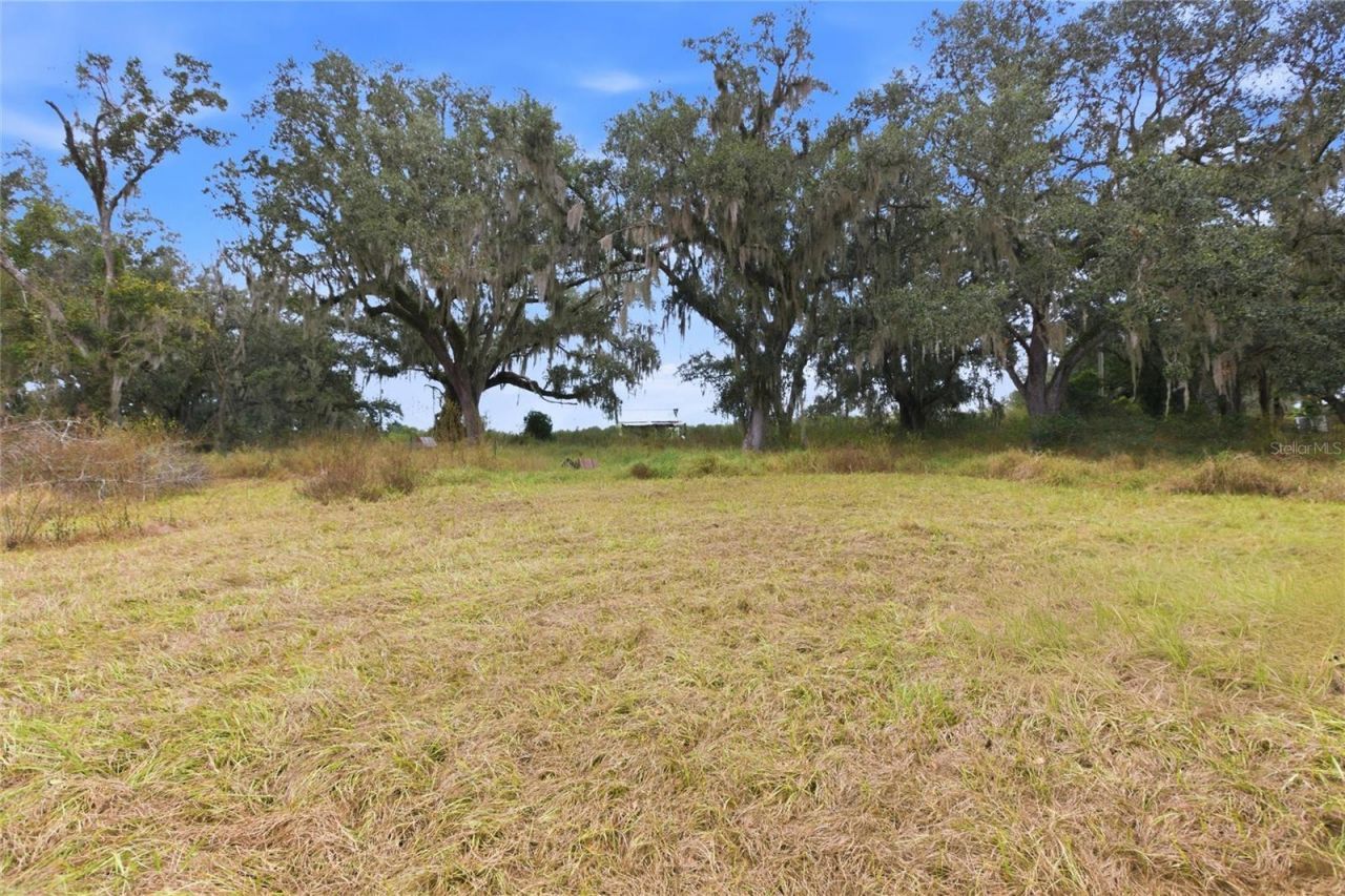 1841 St Rd 66, Zolfo Springs, FL 33890 Photo