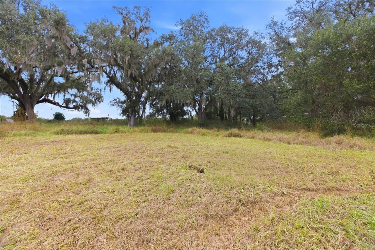 1841 St Rd 66, Zolfo Springs, FL 33890 Photo