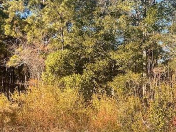 3723 Sunset Harbor Road SE, Bolivia, NC 28422