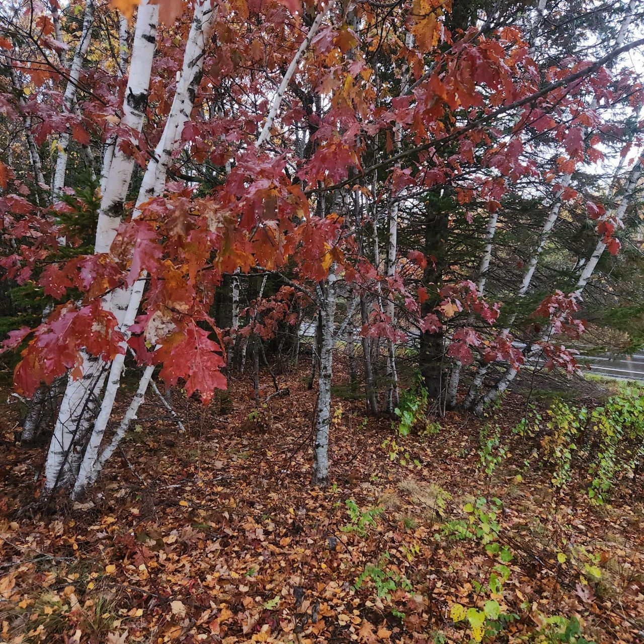 1910 Maine 193, Beddington, ME 04622 Main Photo