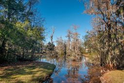 27 Pheasant Loop photo 4