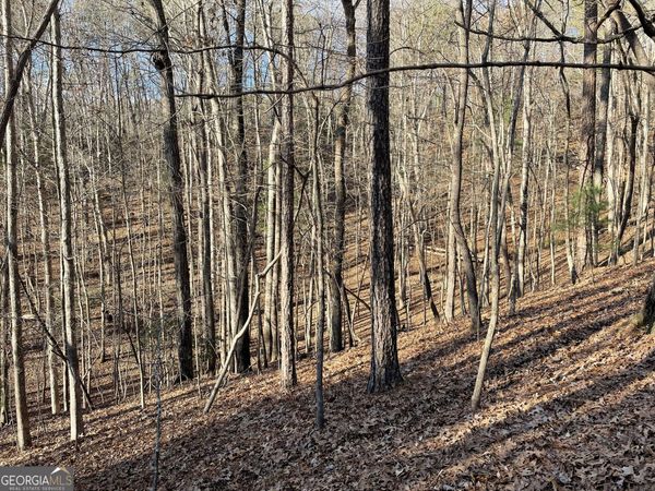 2458 Montage Drive, Unit 2458, Ellijay, GA 30540