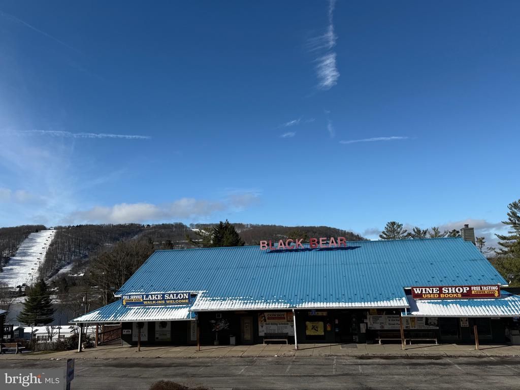 93 Fort Dr, Mc Henry, MD 21541 Main Photo