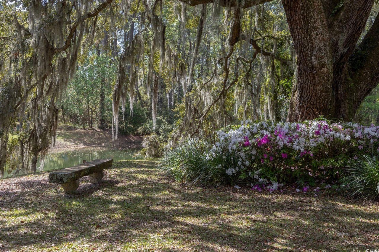 563 Chandler Ave. Photo 26