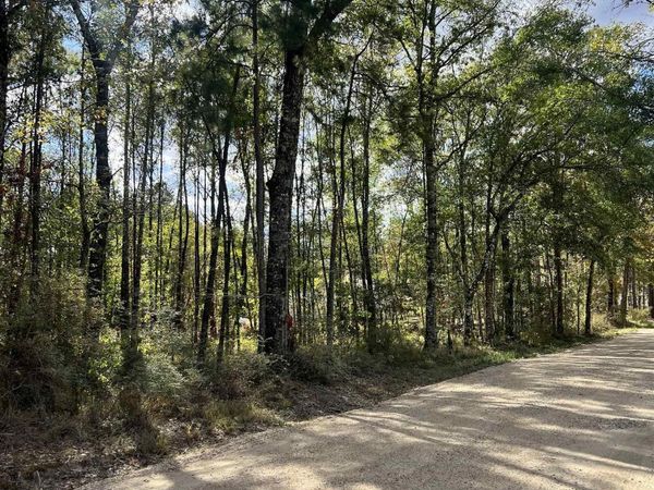 Lot 53 Nesom Rd, Denham Springs, LA 70706