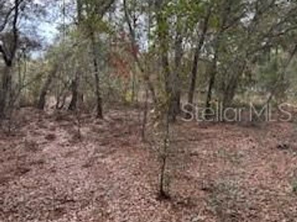 00 RIVIERA DRIVE, INTERLACHEN, FL 32148