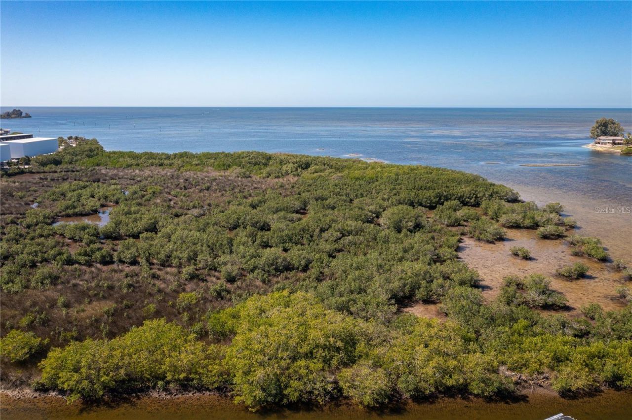 14441 Birch Street, Hudson, FL 34667 Photo