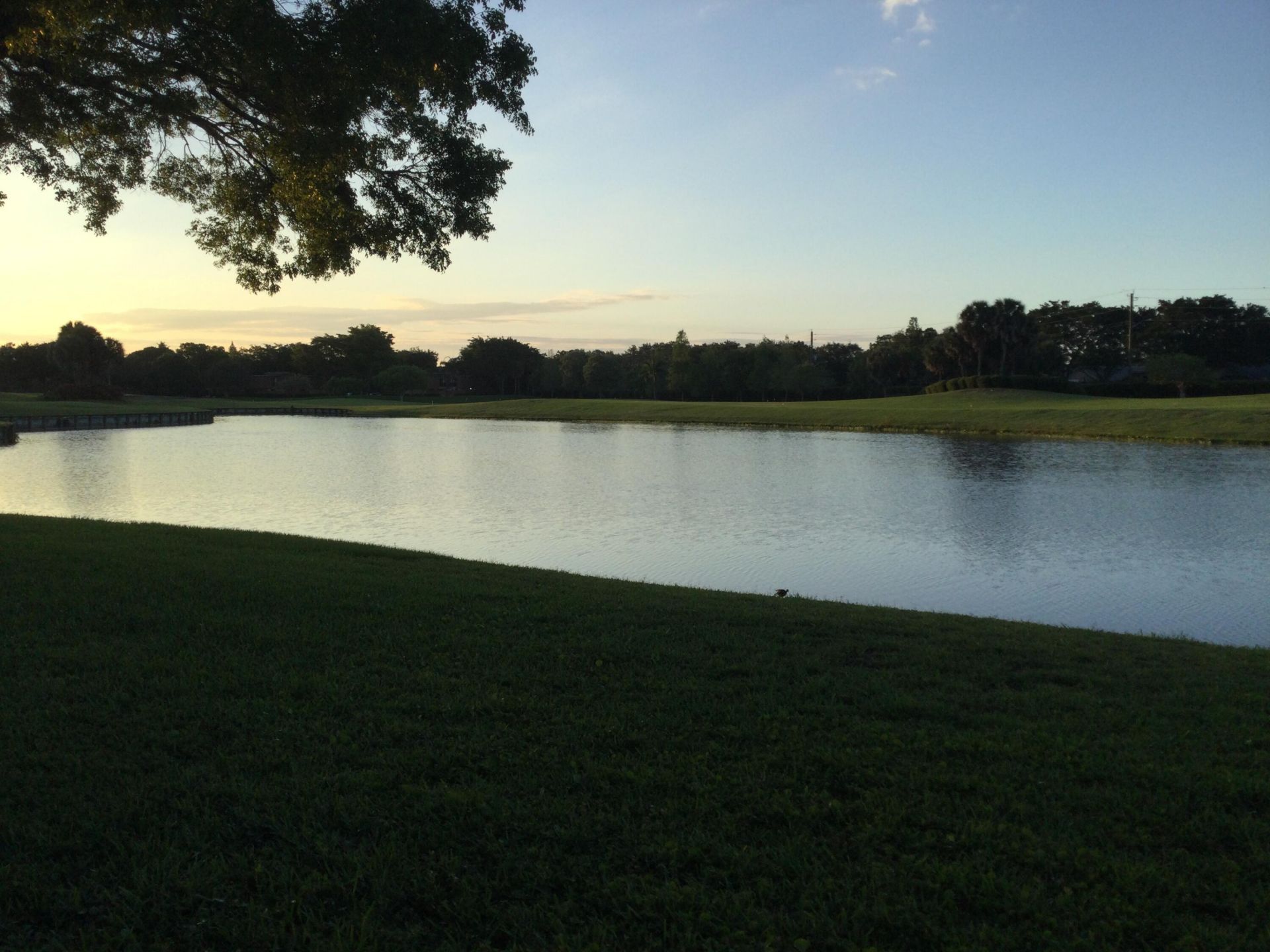 2240 SW 92 Terrace, Unit 2402, Davie, FL 33324 Photo