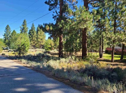 598 Longhorn Drive, Loyalton, CA 96118 Photo