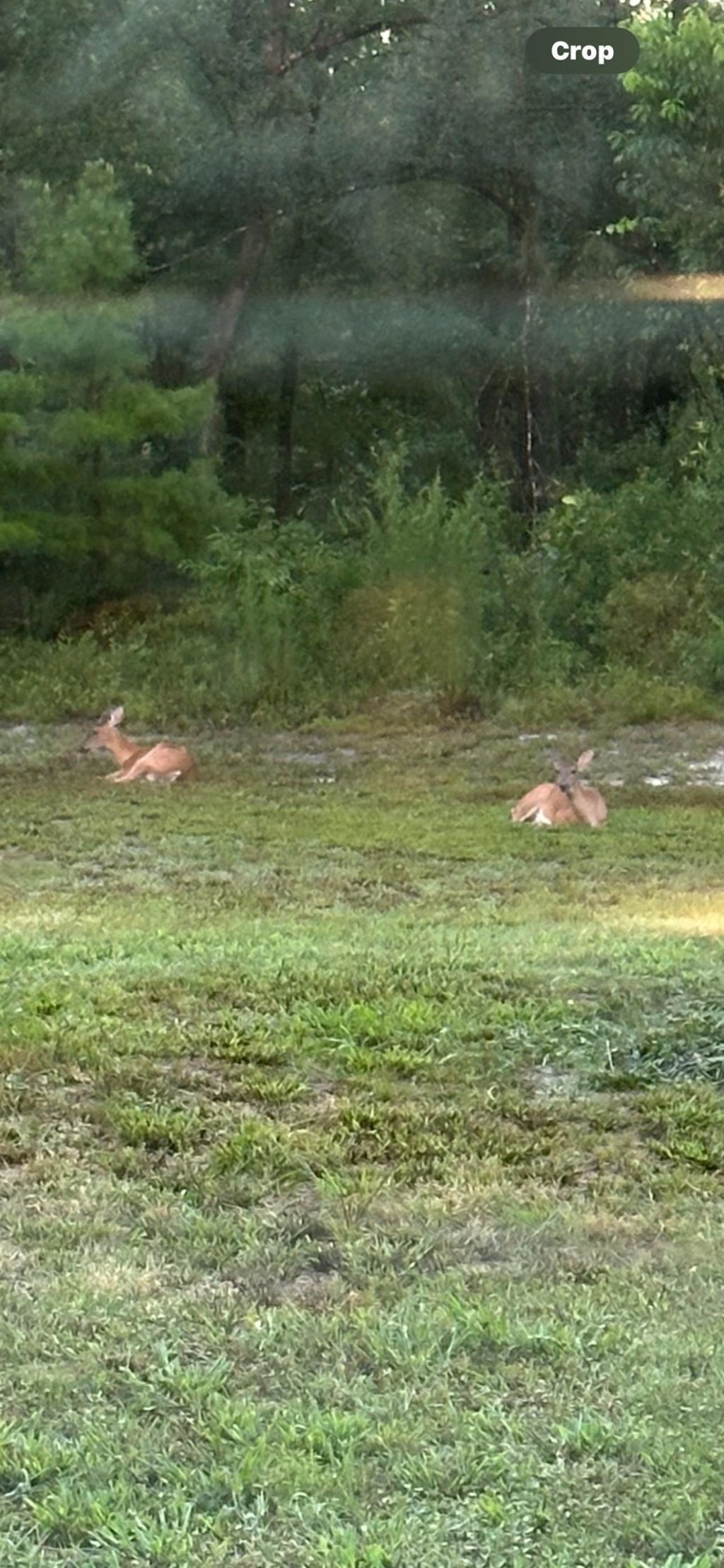 150 Houck Road , Perry, FL 32348 Photo