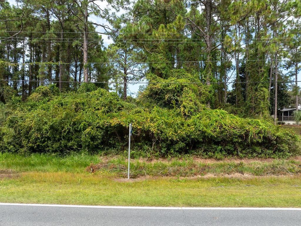 Tbd Hwy 98 Highway , Lot #1, Lanark Village, FL 32323 Photo