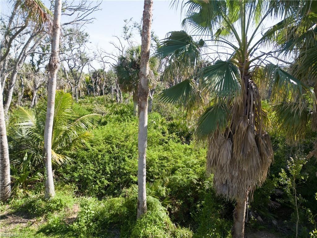 13371 Almond Dr, Fort Myers, FL 33908 Photo