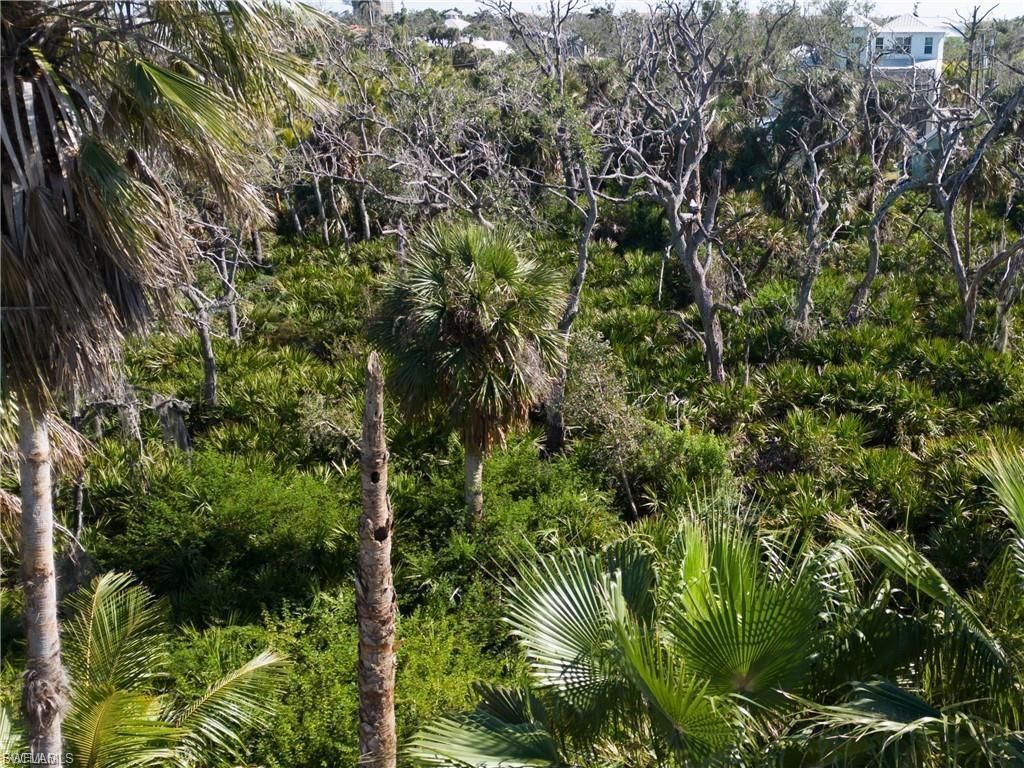 13371 Almond Dr, Fort Myers, FL 33908 Photo