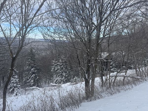 476 North West Ridge, Snowshoe, WV 26209