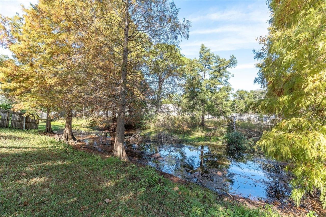 6041 65th Avenue N, Pinellas Park, FL 33781 Photo