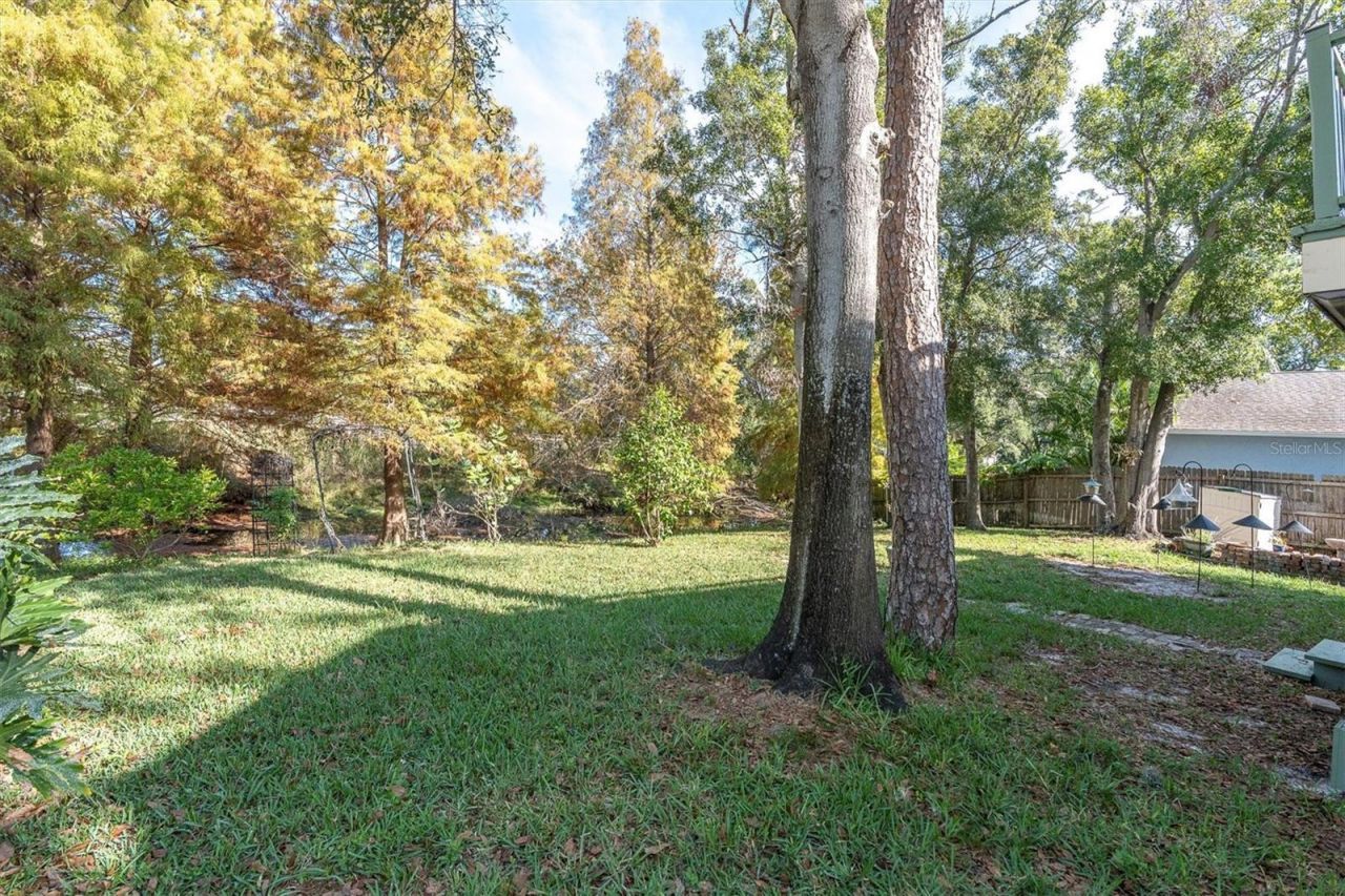 6041 65th Avenue N, Pinellas Park, FL 33781 Photo