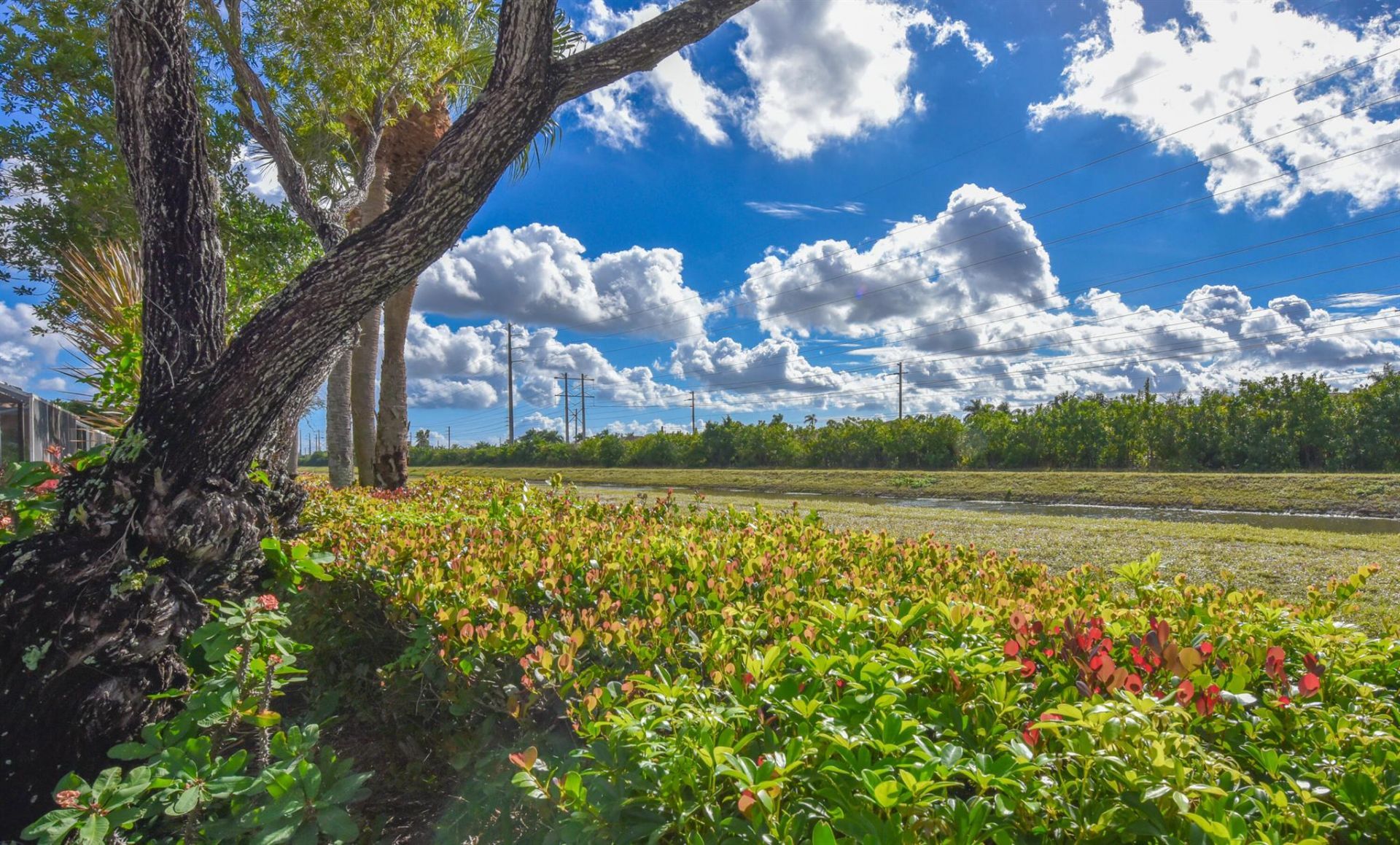 7012 Trentino Way, Boynton Beach, FL 33472 Photo