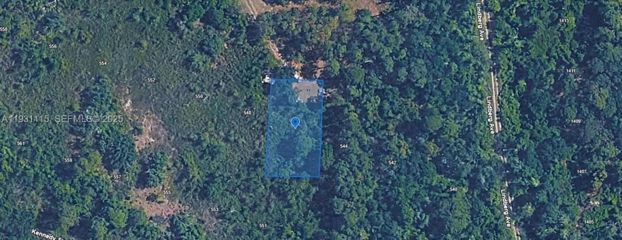 546 Palm Street, Lake Placid, FL 33852 Photo