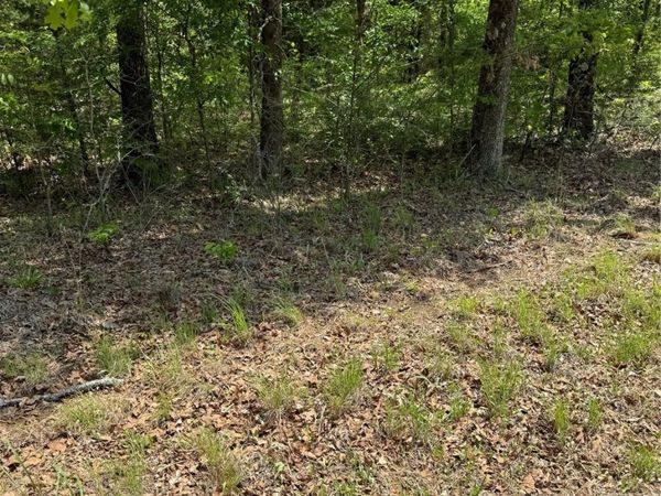 6 S 4532 Road, Vian, OK 74962