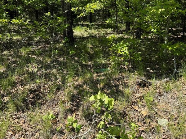 27 S 4532 Road, Vian, OK 74962