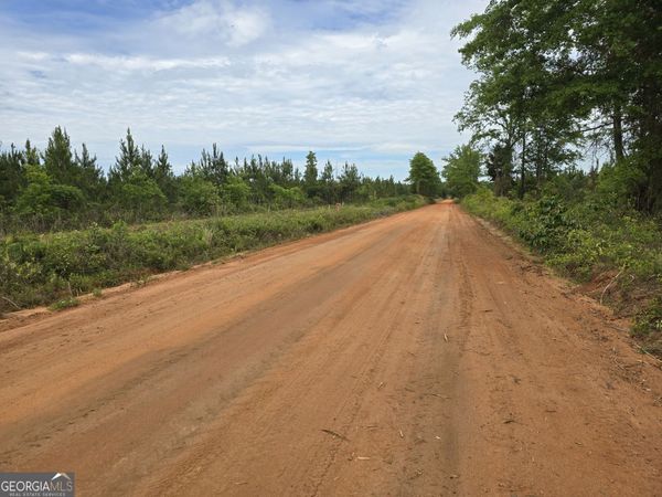 034 Beckwith Road, Ellaville, GA 31806