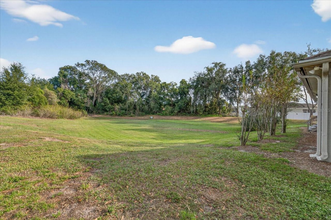 2901 Busch Lake Boulevard, Tampa, FL 33614 Photo