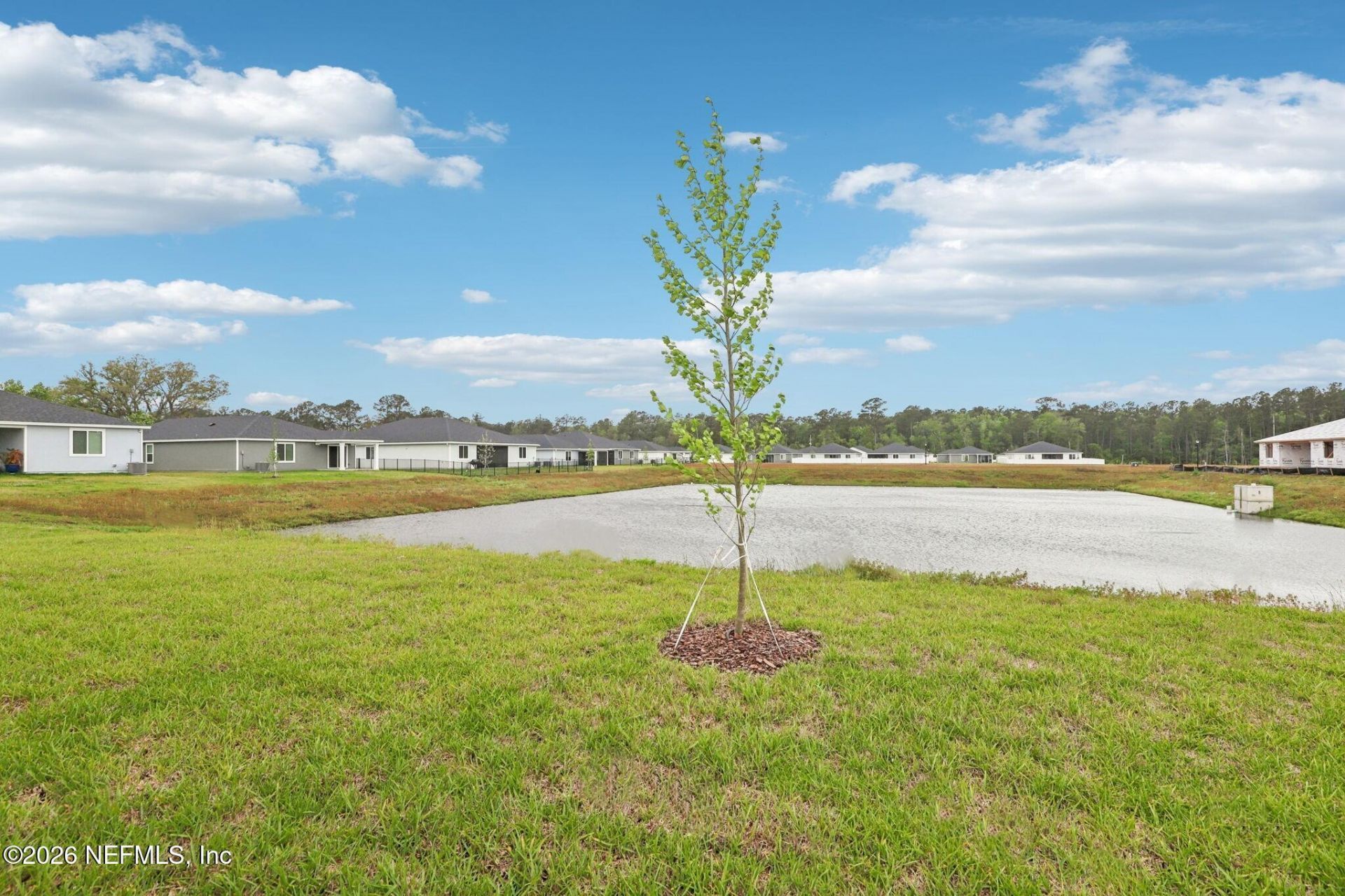 12784 Plainwood Trail, Jacksonville, FL 32218 Photo