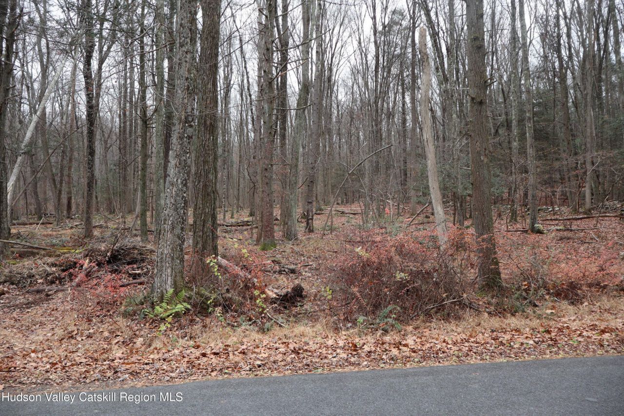 11 Carey Road, West Park, NY 12493 Main Photo