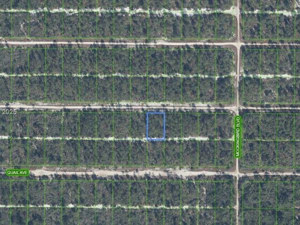 617 Parrot Ave, Sebring, FL 33872
