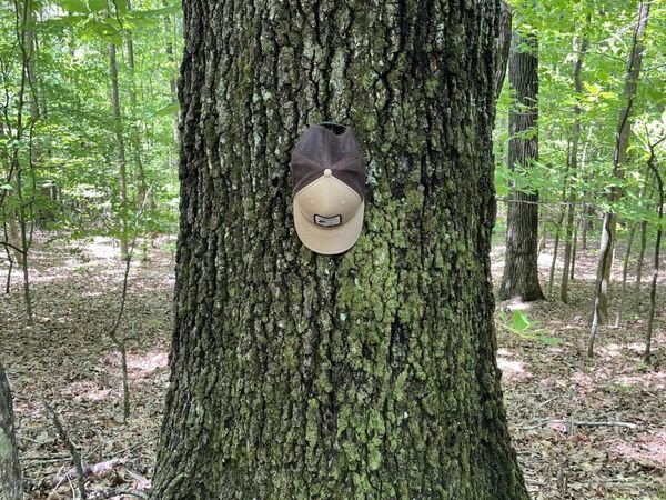 50196 Splunge Rd, Greenwood Springs, MS 38848