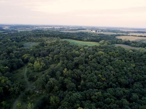 Ashland Avenue, Bussey, IA 50044