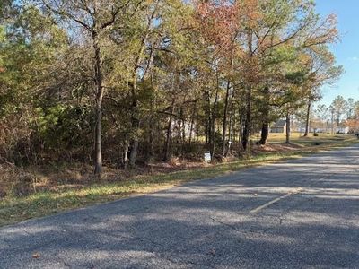 0 Wilson Landing Road, Cross, SC 29436