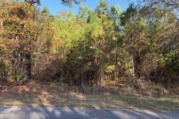 0 Wilson Landing Road photo 4