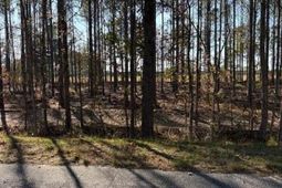 0 Wilson Landing Road photo 4