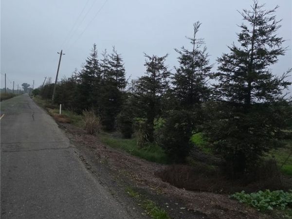 0 W Walker Landing, Walnut Grove, CA 95690