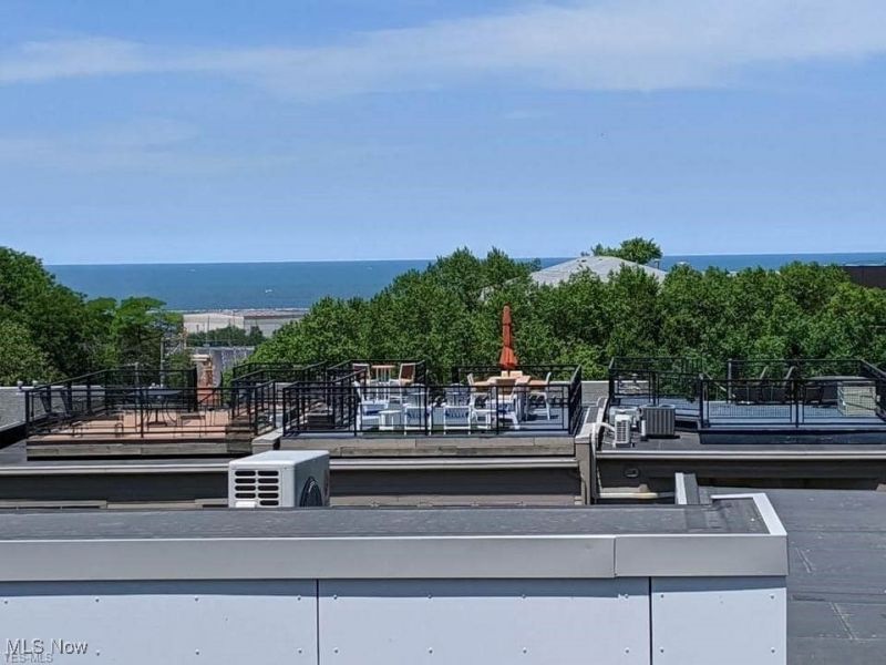 3109 Vine Court, Cleveland, OH 44113 Photo 43