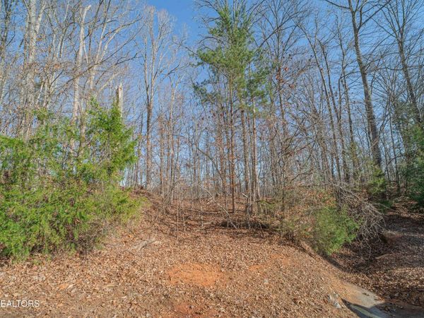 Sheerwater Rd, Kingston, TN 37763