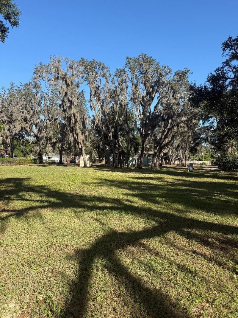 4105 Robinson Road, Valrico, FL 33594 Photo