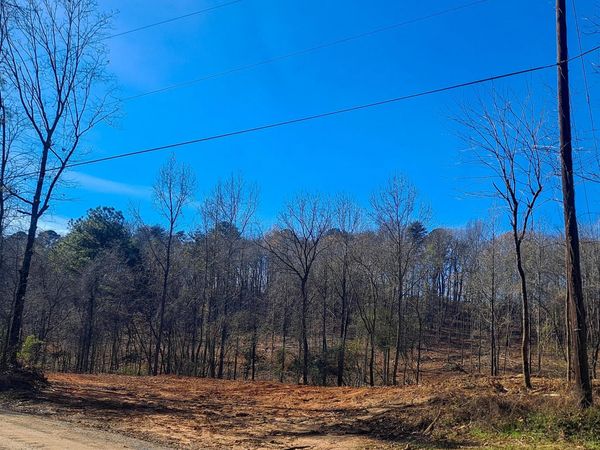 PAUL BOLTON Rd, Parrish, AL 35580