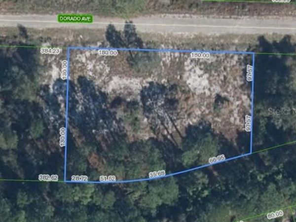 3348 DORADO AVENUE, LAKE PLACID, FL 33852